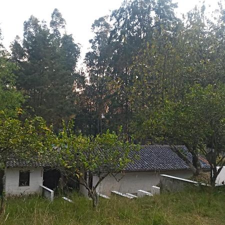 הוילה קיטו Quinta Los Eucaliptos מראה חיצוני תמונה