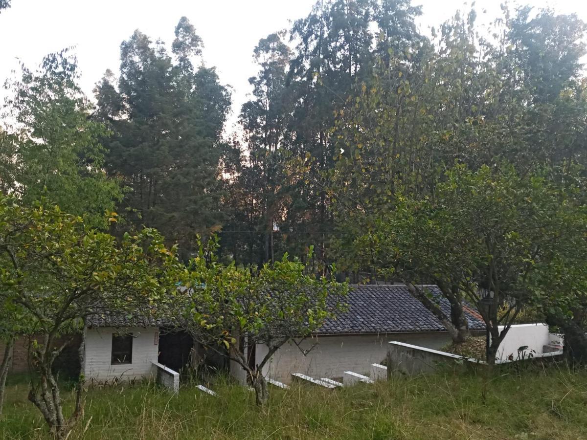 הוילה קיטו Quinta Los Eucaliptos מראה חיצוני תמונה